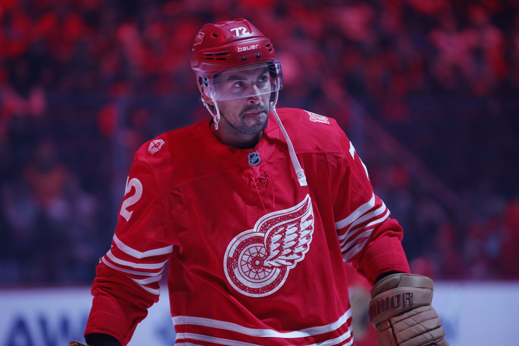 Ottawa Senators vs. Detroit Red Wings Prediction, NHL Odds by Ryan Hodges