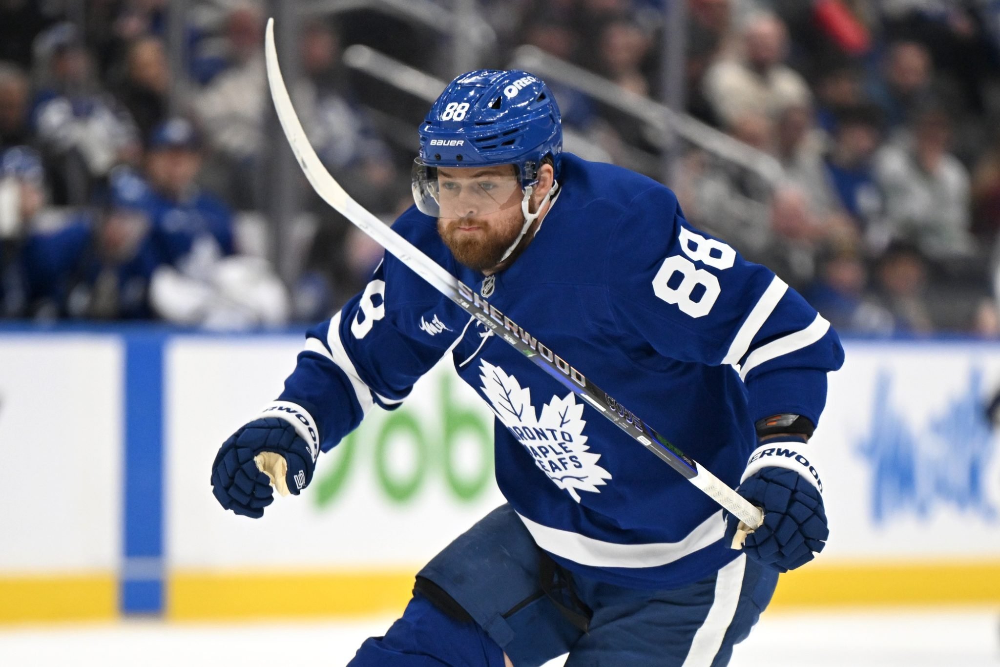 Anaheim Ducks vs. Toronto Maple Leafs Prediction, NHL Odds by Daniel Coyle
