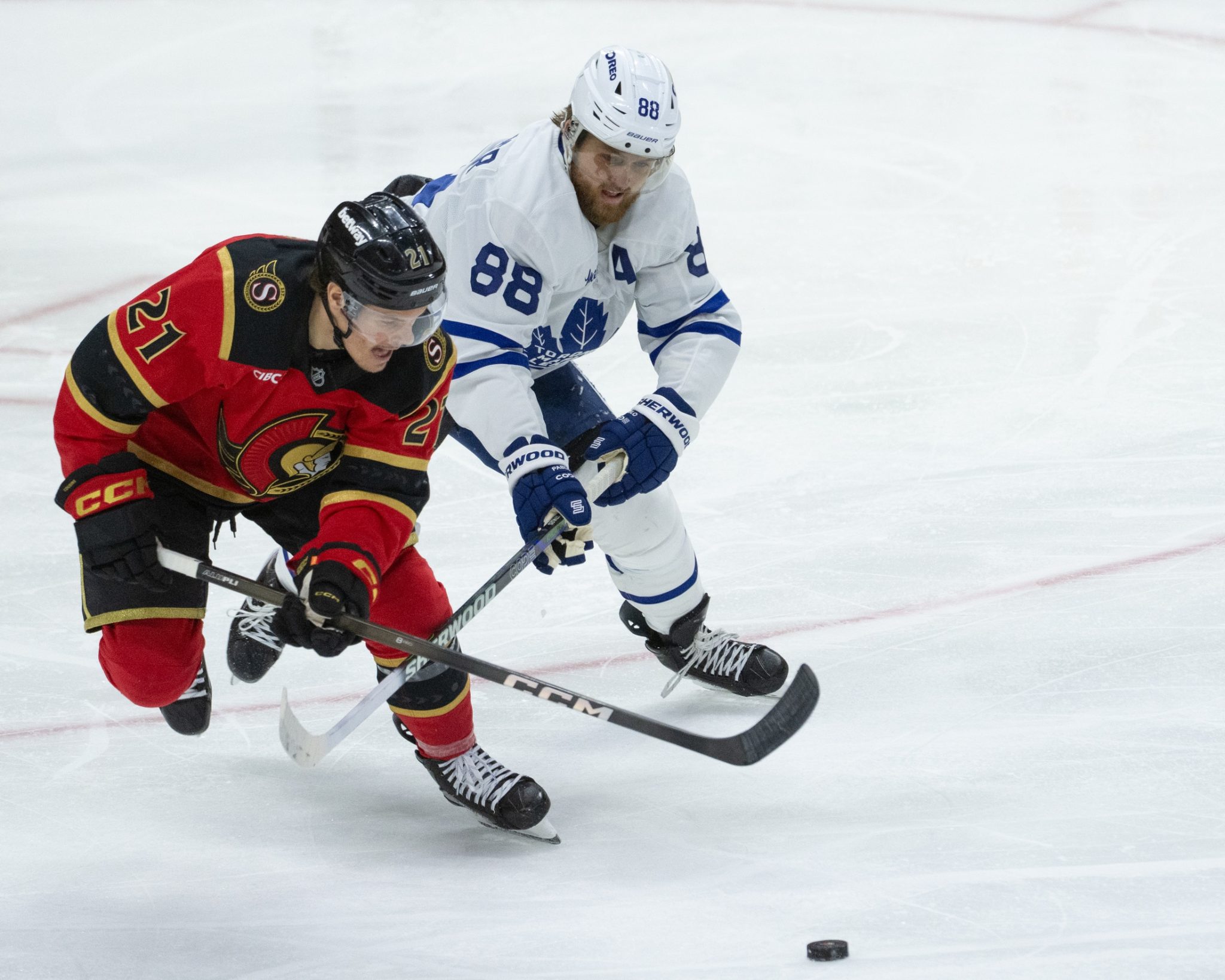 Toronto Maple Leafs vs. Ottawa Senators Prediction, NHL Odds by Daniel Coyle