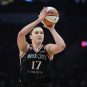 WNBA: New York Liberty at Portland Fire