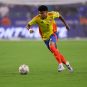 Soccer: Copa America-Final-Argentina vs Colombia