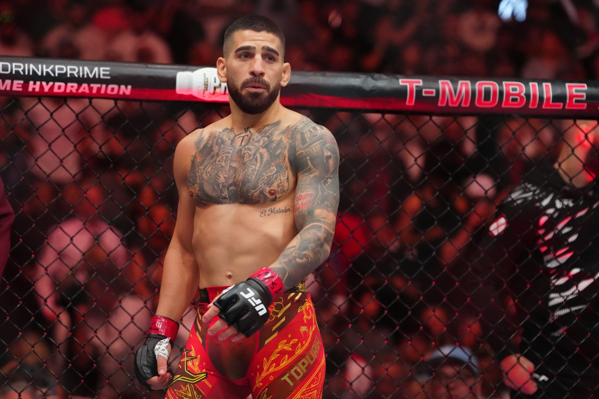 Ilia Topuria vs. Justin Gaethje White House Prediction, UFC Freedom 250 Odds by Daniel Coyle
