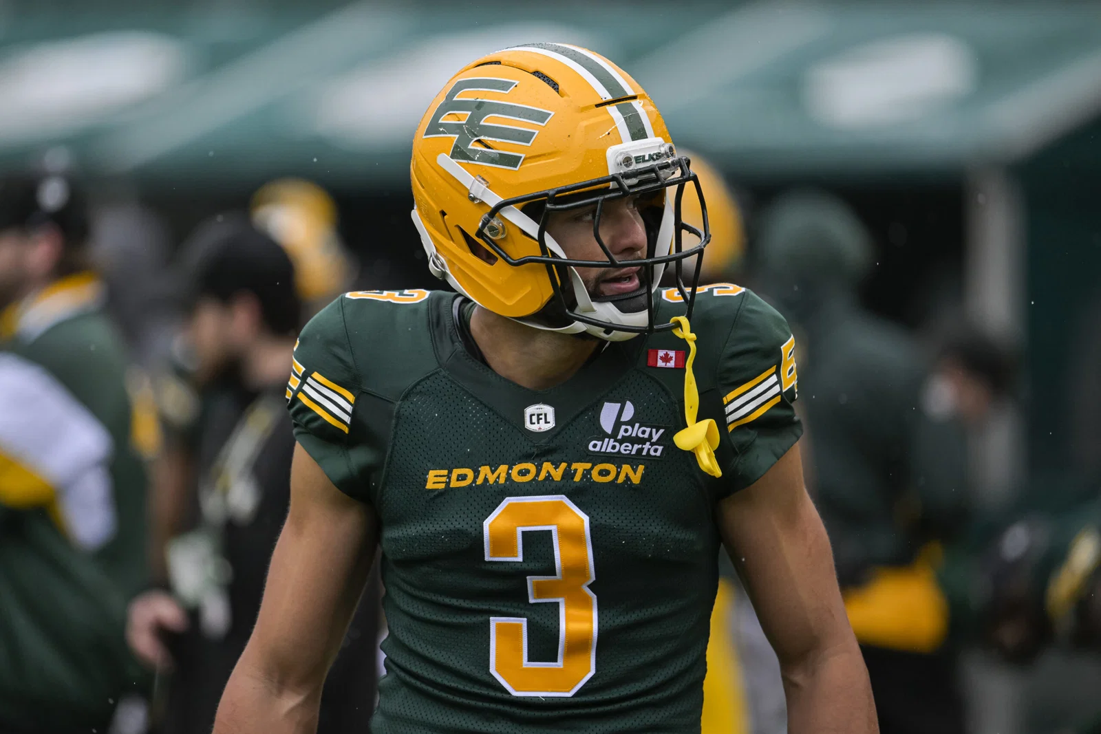 RedBlacks vs. Elks Prediction: CFL Week 6 Point Spread, Odds by Payton Matthews