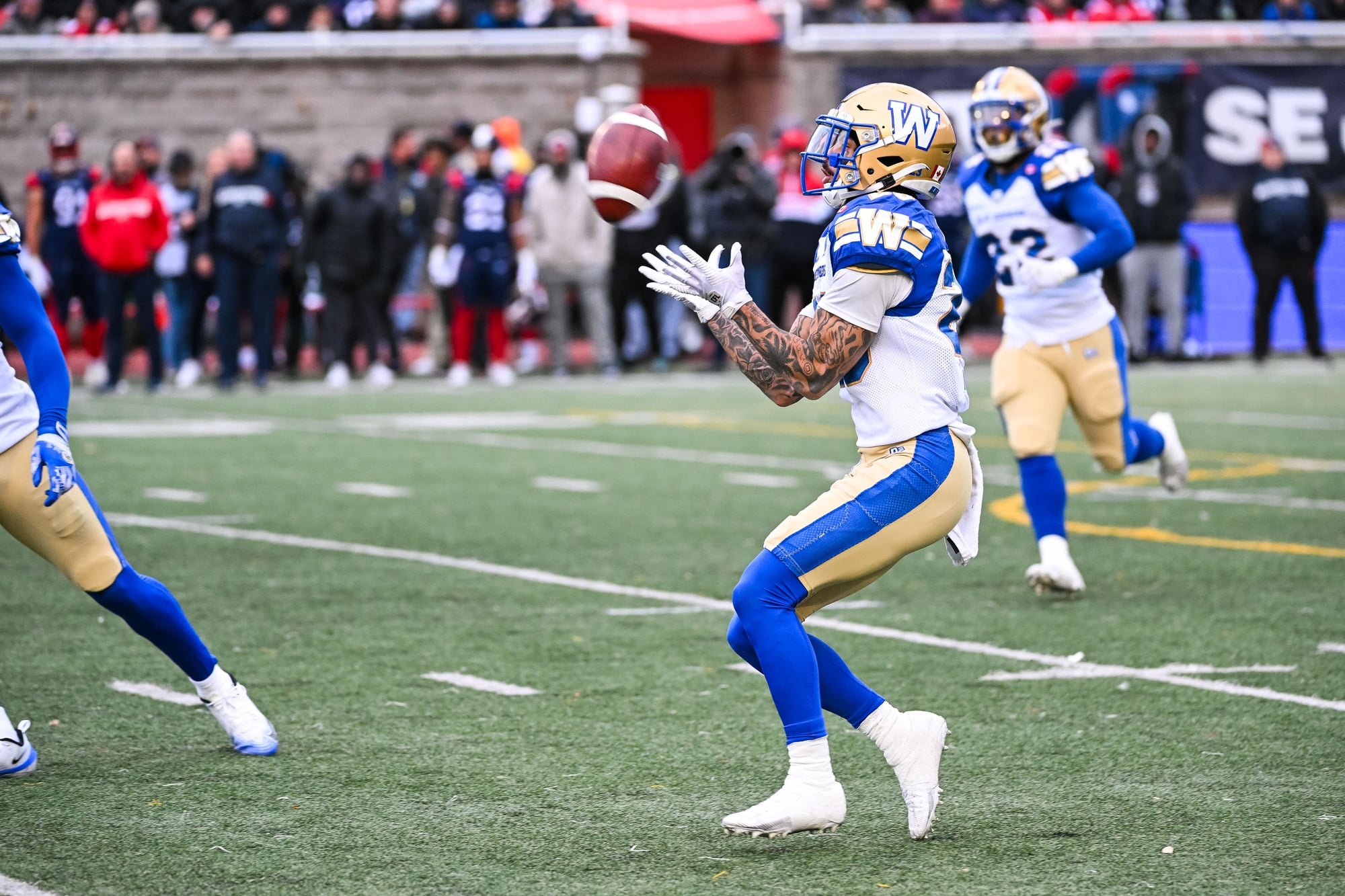 Blue Bombers vs. RedBlacks Prediction: CFL Week 7 Point Spread, Odds by Daniel Coyle