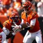 Bengals vs. Texans NFL Week 2 Betting Odds, Picks: Burrow...