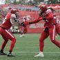 Stampeders vs. RedBlacks CFL Week 17 Betting Odds, Picks: Calagary...